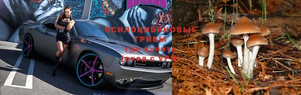 круглые Абинск