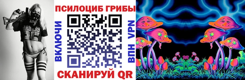 OMG   Мыски  Псилоцибиновые грибы Magic Shrooms 