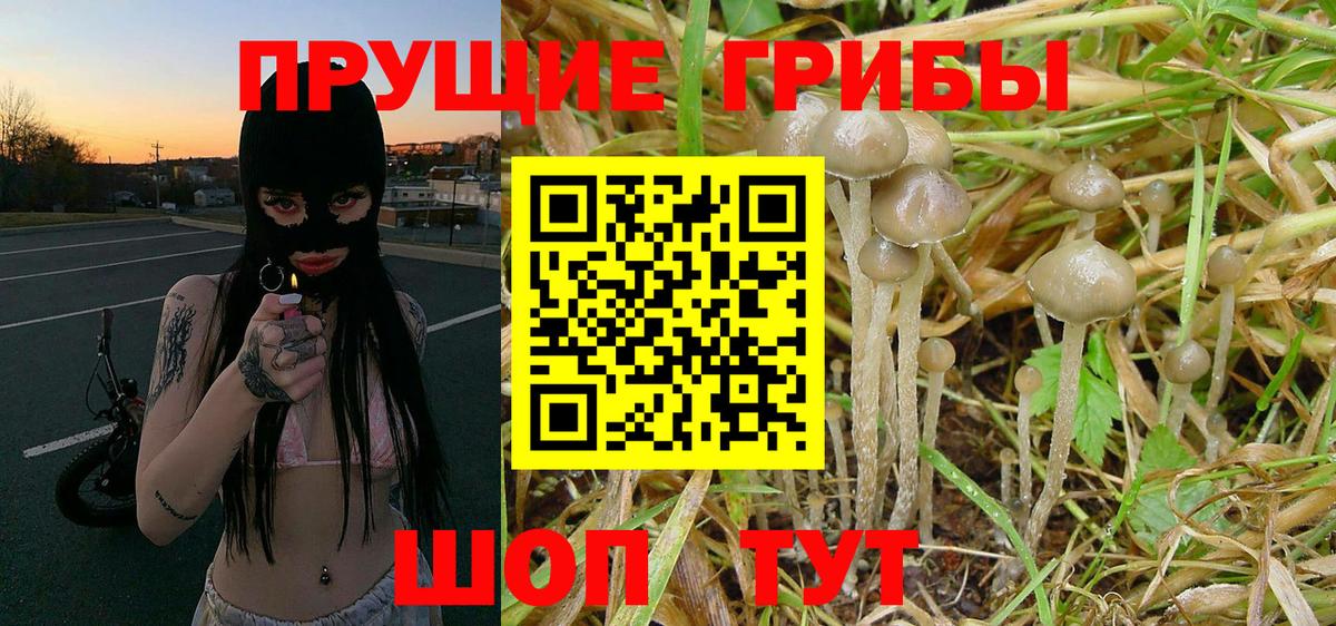 Галлюциногенные грибы Cubensis  Галлюциногенные грибы Magic Shrooms  Мыски  Вход с VPN 
