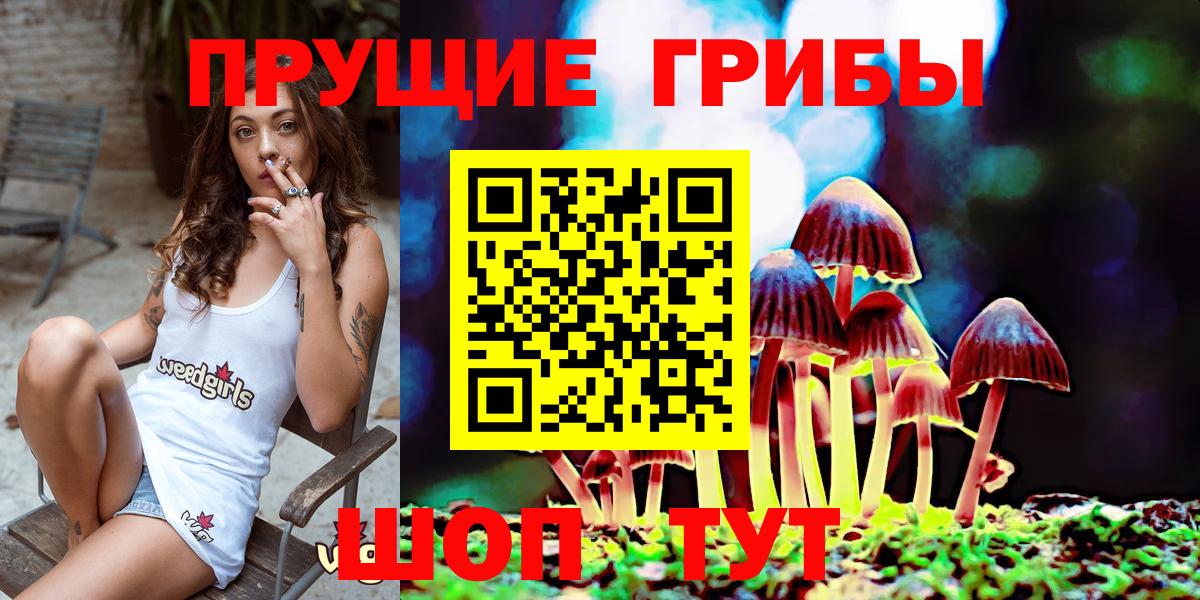 Галлюциногенные грибы ЛСД Мыски